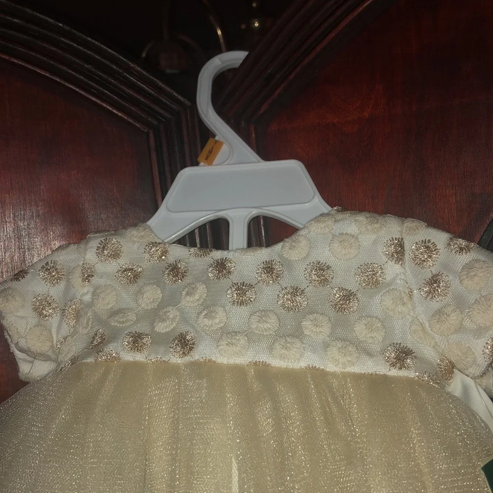 Beautiful Infant Dress - Picture 2 of 8